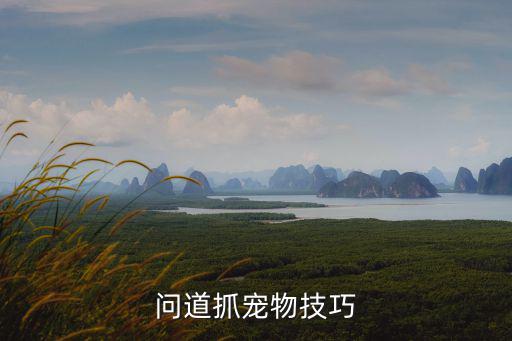 问道抓宠物技巧
