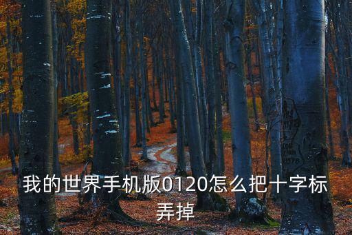 我的世界手游十字标怎么去掉，我的世界手机版0120怎么把十字标弄掉