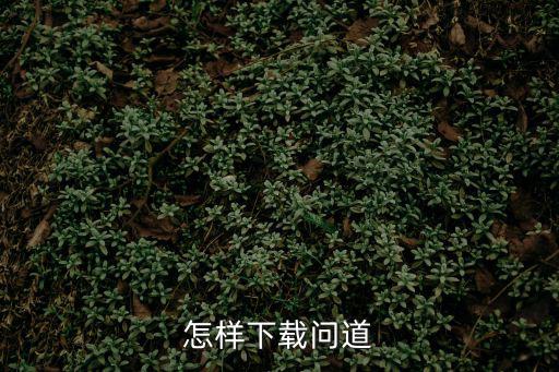 怎样下载问道