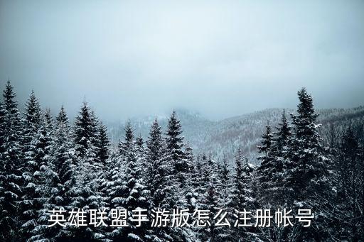 英雄联盟手游版怎么注册帐号