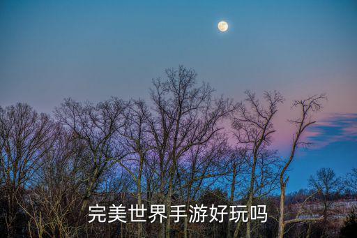 完美世界手游中文怎么样，完美世界手游好玩吗