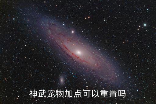 神武4手游宝宝怎么调整属性，神武宠物加点可以重置吗