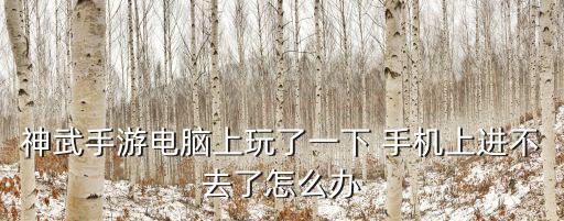 神武手游电脑上玩了一下 手机上进不去了怎么办