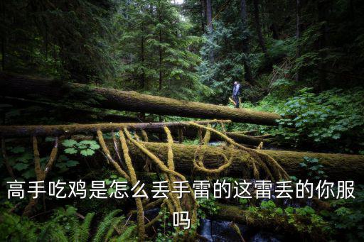 高手吃鸡是怎么丢手雷的这雷丢的你服吗