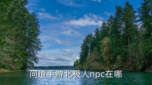 问道手游北极人npc在哪