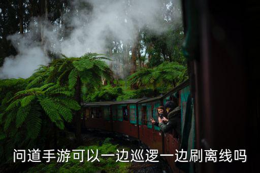 问道手游可以一边巡逻一边刷离线吗