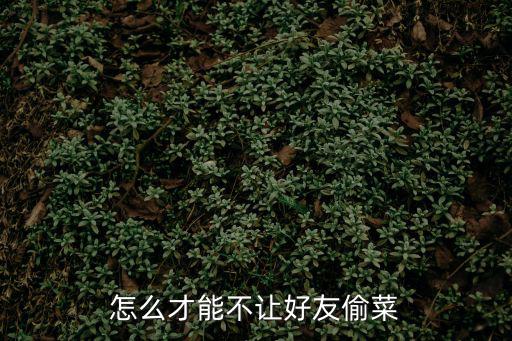 摩尔庄园手游怎么防止好友偷菜，如何不让好友偷菜