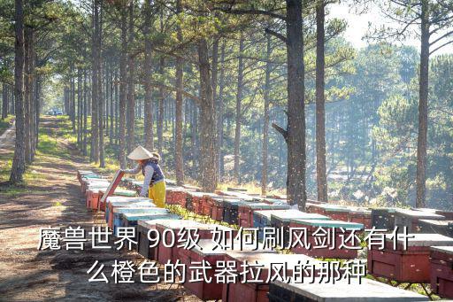 魔兽世界 90级 如何刷风剑还有什么橙色的武器拉风的那种