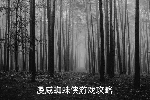漫威蜘蛛侠游戏攻略