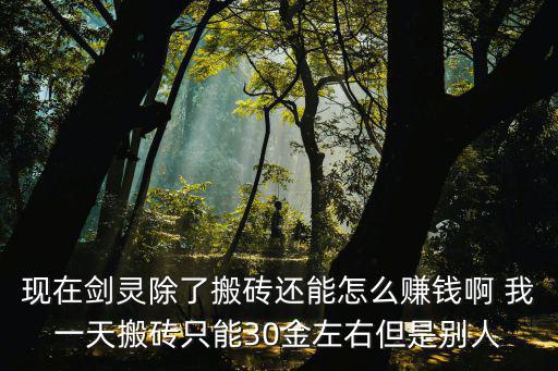 剑网1手游搬砖怎么样，弱弱的问下圣物精灵骑士搬砖怎么样