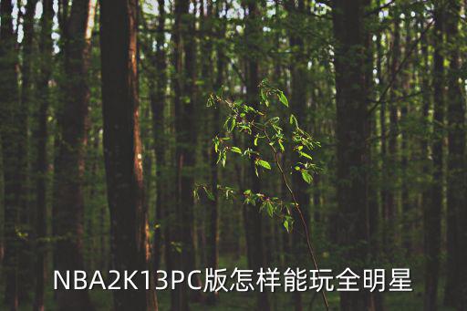NBA2K13PC版怎样能玩全明星