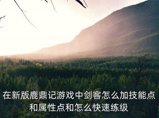 在新版鹿鼎记游戏中剑客怎么加技能点和属性点和怎么快速练级