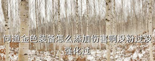 问道金色装备怎么添加伤害啊没粉过没强化过