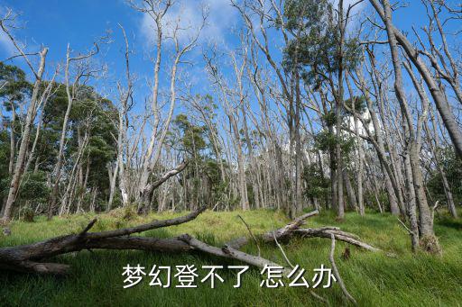 梦幻登不了 怎么办