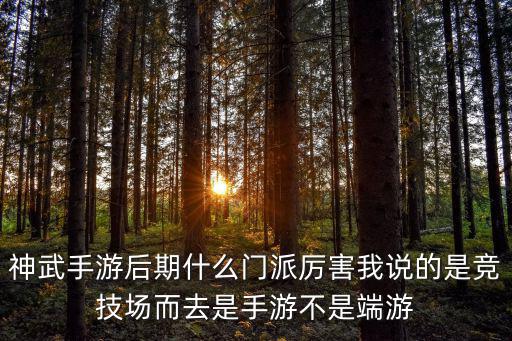 神武手游后期什么门派厉害我说的是竞技场而去是手游不是端游