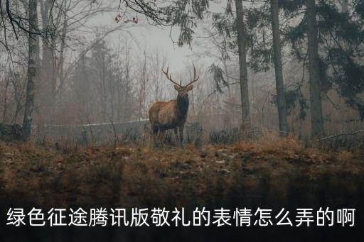 绿色征途腾讯版敬礼的表情怎么弄的啊