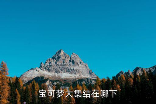 宝可梦大集结在哪下
