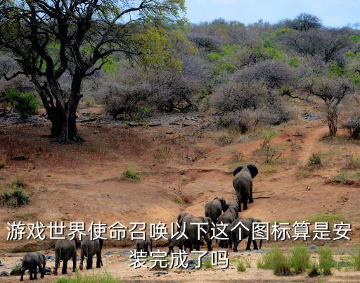 游戏世界使命召唤以下这个图标算是安装完成了吗