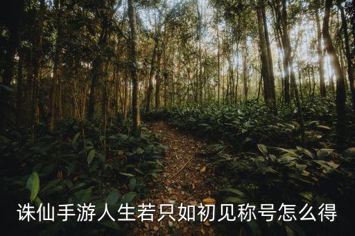 诛仙手游人生若只如初见称号怎么得