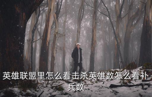 英雄联盟里怎么看击杀英雄数怎么看补兵数