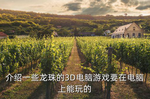 龙珠最强之路手游在电脑上怎么玩，介绍一些龙珠的3D电脑游戏要在电脑上能玩的