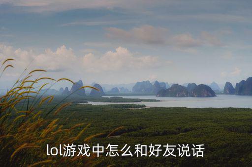 lol游戏中怎么和好友说话