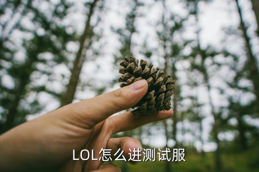 LOL怎么进测试服