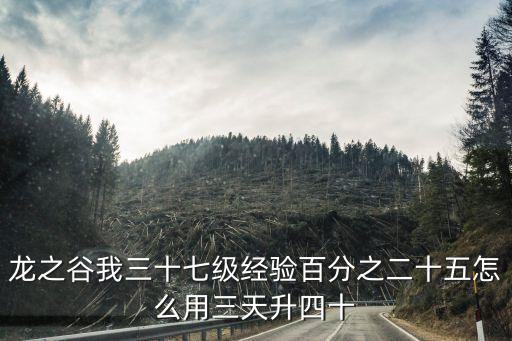 龙之谷我三十七级经验百分之二十五怎么用三天升四十