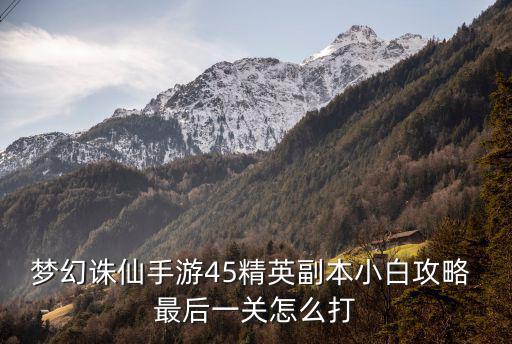 梦幻诛仙手游45精英副本小白攻略 最后一关怎么打