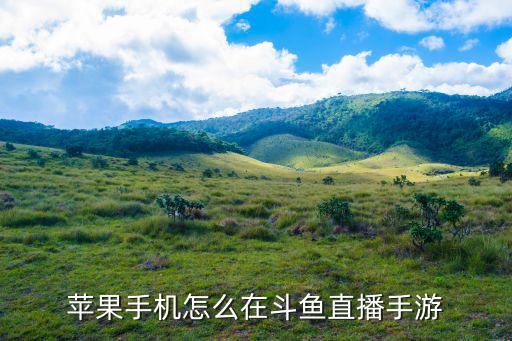 苹果手机怎么在斗鱼直播手游