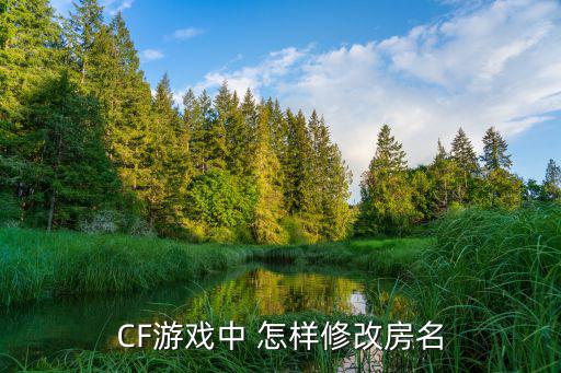 cf手游创建房间属性怎么改，怎样改房间的属性