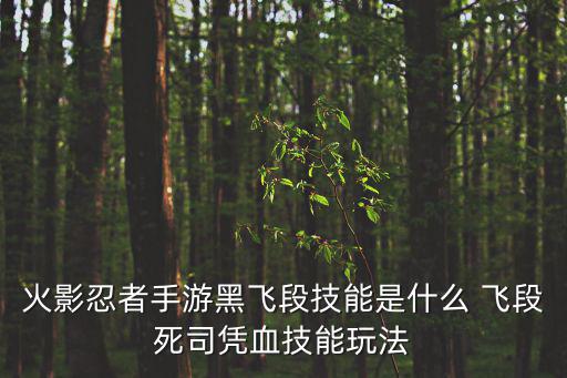 火影忍者手游黑飞段技能是什么 飞段死司凭血技能玩法