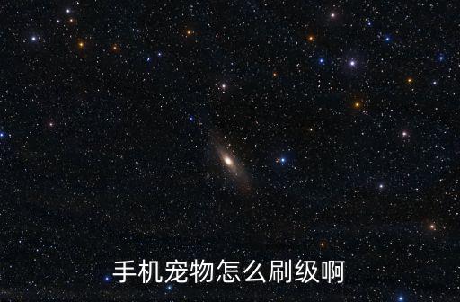手机宠物怎么刷级啊