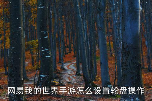 网易我的世界手游怎么设置轮盘操作