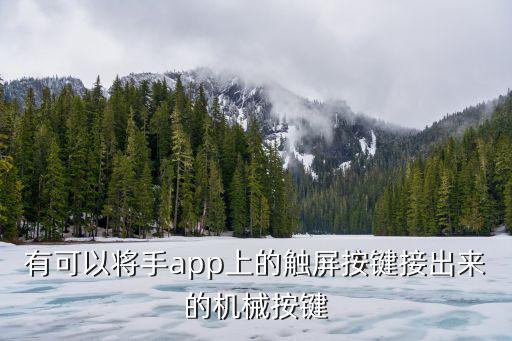 莱仕达手游键盘怎么样，有可以将手app上的触屏按键接出来的机械按键