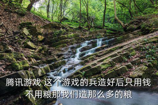 腾讯游戏 这个游戏的兵造好后只用钱不用粮那我们造那么多的粮