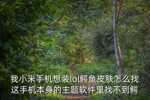 我小米手机想装lol鳄鱼皮肤怎么找这手机本身的主题软件里找不到鳄