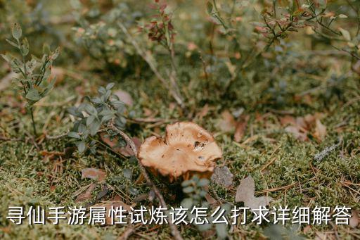 寻仙手游属性试炼该怎么打求详细解答