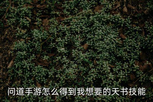 问道手游怎么得到我想要的天书技能