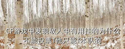 CF游戏中发现敌人中有用挂的为什么不能投票T他只能T本队的