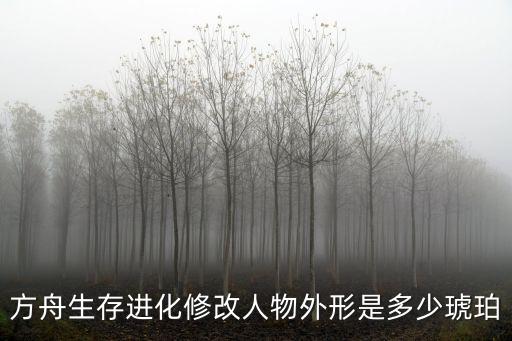 方舟生存进化修改人物外形是多少琥珀