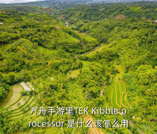 方舟手游里TEK Kibble processor 是什么该怎么用