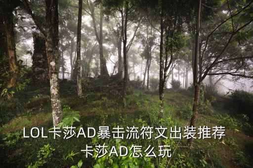 LOL卡莎AD暴击流符文出装推荐 卡莎AD怎么玩