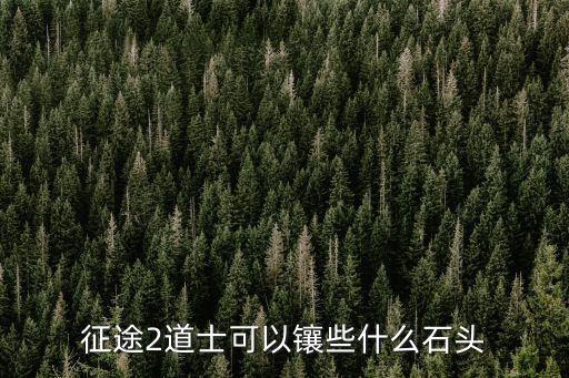 征途2道士可以镶些什么石头