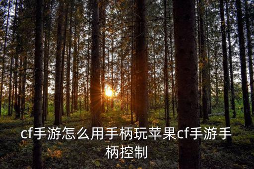 飞智q1怎么连接苹果cf手游，cf手游怎么用手柄玩苹果cf手游手柄控制