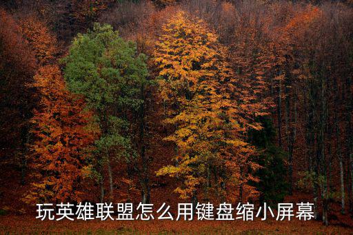 英雄联盟手游打字键盘怎么缩小，lol怎么按键盘缩小到桌面