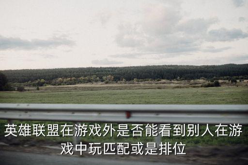 英雄联盟在游戏外是否能看到别人在游戏中玩匹配或是排位