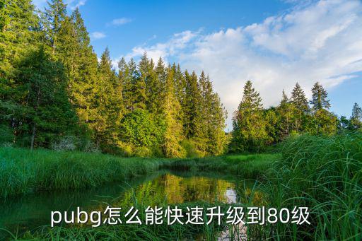 pubg手游怎么快速升级到十级，pubg怎么能快速升级到80级