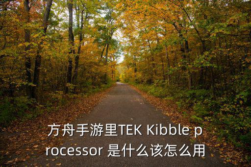 方舟手游版机器人怎么用，方舟手游里TEK Kibble processor 是什么该怎么用