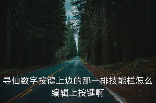 寻仙数字按键上边的那一排技能栏怎么编辑上按键啊